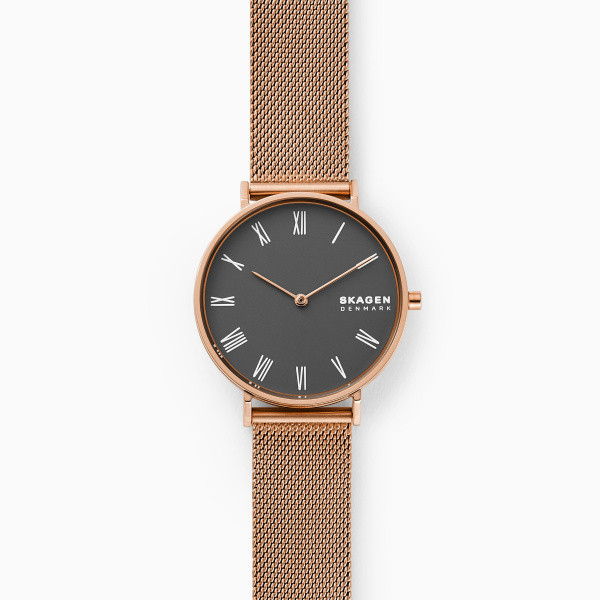 Bracelet de montre Skagen SKW2813 Milanais 16mm