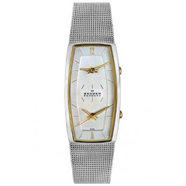 Bracelet de montre Skagen 281SGSC Acier