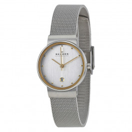 Bracelet de montre Skagen 355SGSC Acier 14mm