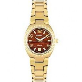 Bracelet de montre Fossil AM4176 Acier inoxydable Plaqué or 18mm