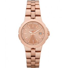 Bracelet de montre Fossil AM4402 Acier inoxydable Rosé