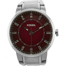 Bracelet de montre Fossil FS4901 Acier inoxydable Acier 20mm