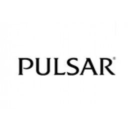 Bracelet de montre Pulsar 70P8JG / Y182 6d40 Acier Acier