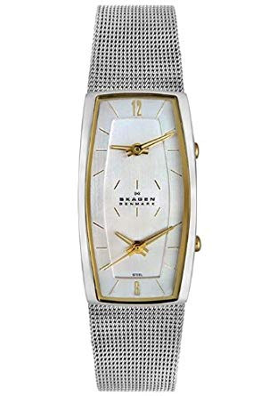 Bracelet de montre Skagen 281SGSC Acier