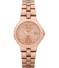 Bracelet de montre Fossil AM4402 Acier inoxydable Rosé