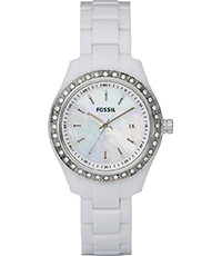 Fossil Maillons de montre ES2437 / 11xxxx / 74xxxx - Plastique - (2 pièces)