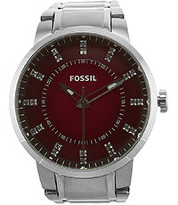 Bracelet de montre Fossil FS4901 Acier inoxydable Acier 20mm