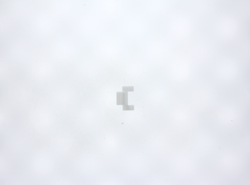 DKNY Maillons de montre NY4912 / NY4913 - 20mm - (1 pièce)