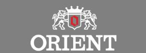 Bracelet de montre Orient UG1H-CO-A Acier Acier