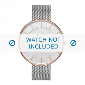 Skagen bracelet de montre SKW2583 Métal Argent
