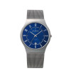 Bracelet de montre Skagen 233XLTTN / 11xxxx Acier 22mm