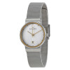 Bracelet de montre Skagen 355SGSC Acier 14mm