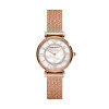 Bracelet de montre Armani AR11320 Milanais Rosé 14mm