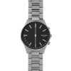 Bracelet de montre Skagen SKT1305 Titane 20mm