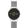 Bracelet de montre Skagen SKT5102 Milanais Acier 20mm