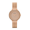 Bracelet de montre Skagen SKW2213 Milanais Rosé 12mm