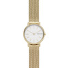 Bracelet de montre Skagen SKW2693 Milanais Plaqué or 14mm