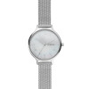 Bracelet de montre Skagen SKW2701 Acier Acier inoxydable 14mm