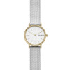 Bracelet de montre Skagen SKW2729 Milanais Acier 14mm