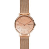 Bracelet de montre Skagen SKW2732 Milanais Rosé 16mm