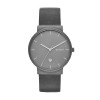 Bracelet de montre Skagen SKW6320 Cuir Gris 20mm