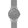 Bracelet de montre Skagen SKW6428 Milanais Acier 20mm