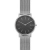 Bracelet de montre Skagen SKW6483 Milanais Acier 20mm