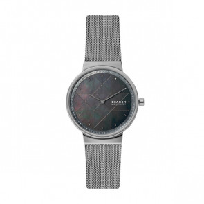 Bracelet de montre Skagen SKW2832 Acier inoxydable Gris 16mm