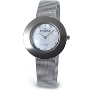 Bracelet de montre Skagen 569STW Titane Acier