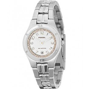 Bracelet de montre Fossil AM3982 Acier inoxydable Acier 8mm
