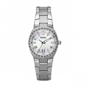 Bracelet de montre Fossil AM4141 Acier inoxydable Acier 8mm