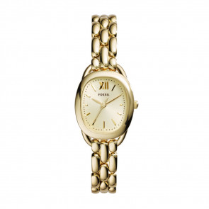 Fossil Verre de montre (plat) ES3600