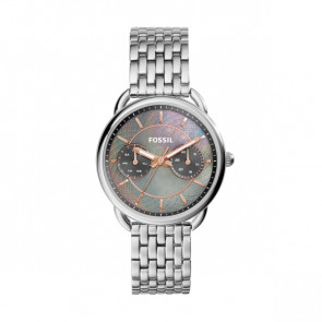 Bracelet de montre Fossil ES3911 Acier