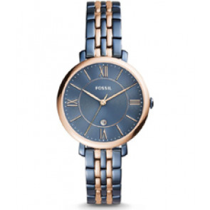 Bracelet de montre Fossil ES4321 Acier inoxydable Bleu 14mm
