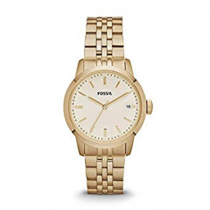 Bracelet de montre Fossil FS4821 Acier inoxydable Plaqué or 18mm