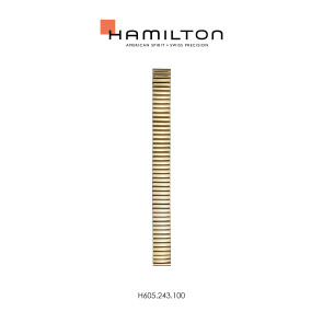 Bracelet de montre Hamilton H600.243.100 / STAAL Acier Plaqué or 17mm