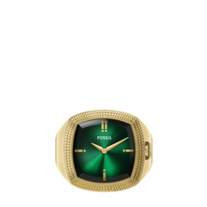 Bracelet de montre Fossil LE1213 Acier Plaqué or 6mm