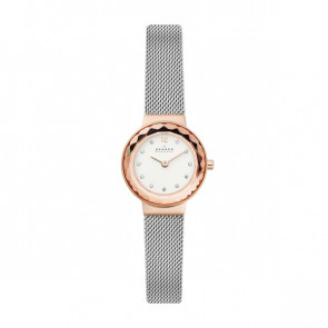 Bracelet de montre Skagen SKW1112 Acier inoxydable Acier 12mm