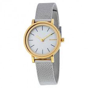 Bracelet de montre Skagen SKW2445 Acier