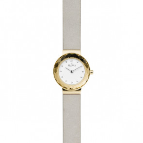 Bracelet de montre Skagen SKW2778 Cuir Métallique 12mm