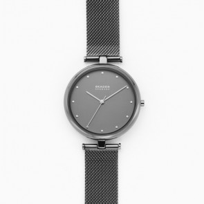 Bracelet de montre Skagen SKW2829 Milanais Gris 16mm
