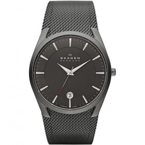 Bracelet de montre Skagen SKW6010 Titane 30mm