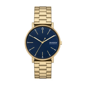 Bracelet de montre Skagen SKW6945 Acier Plaqué or 20mm
