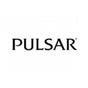 Bracelet de montre Pulsar 70P8JG / Y182 6d40 Acier Acier