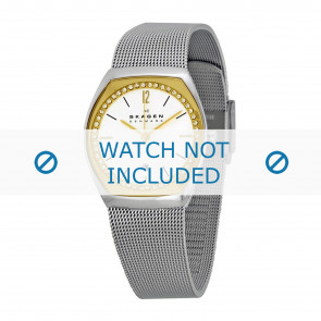 Skagen bracelet de montre SKW2050 Métal Argent