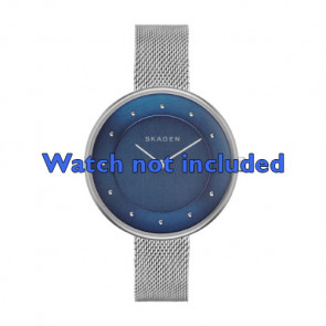 Bracelet de montre Skagen SKW2293 Milanais Acier 14mm