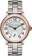 Bracelet de montre Marc by Marc Jacobs MJ3539 Acier Bicolore 18mm