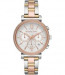 Bracelet de montre Michael Kors MK6688 Acier Multicolore 16mm