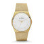 Bracelet de montre Skagen SKW6069 Acier Plaqué or 28mm