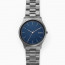 Bracelet de montre Skagen SKW6564 Acier Gris anthracite